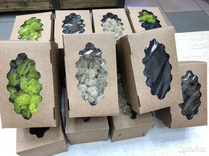 Стабилизированный мох