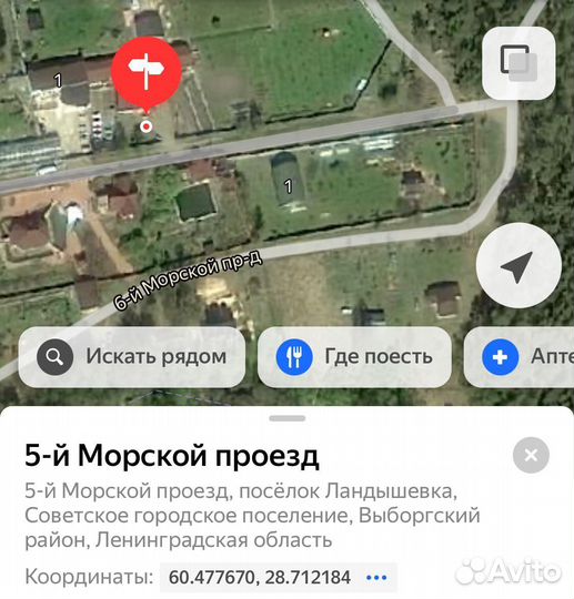 Яйца домашние куриные