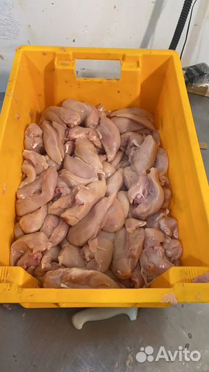 Филе Курицы Гост Халяль от производителя