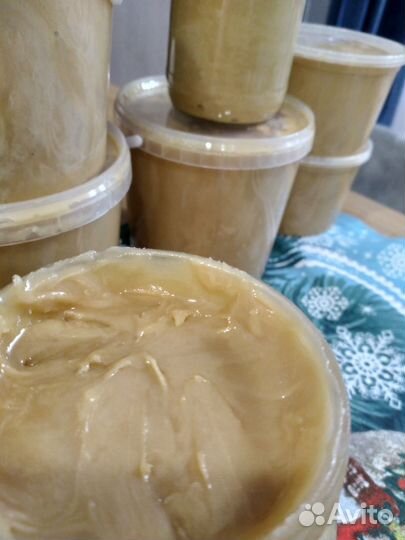 Мёд Горного Алтая таёжный