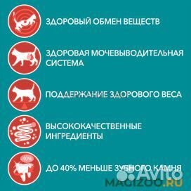 Влажный корм пурина ван для стерилизованных