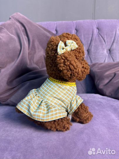 Мягкая игрушка пудель