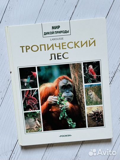 Мир дикой природы. Тропический лес