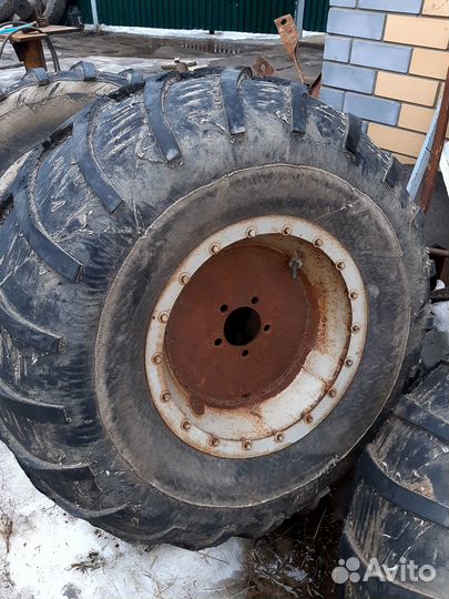 Ободрыши от урал лаптежник