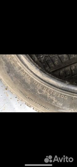 Nexen Winguard 205/60 R16 92