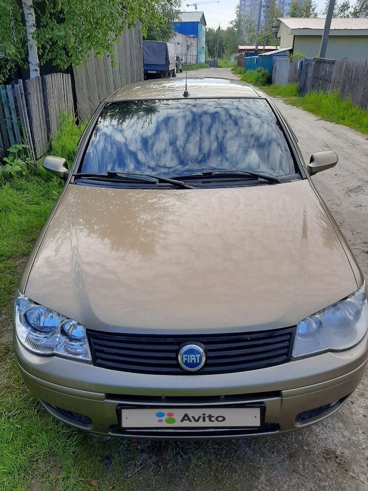 FIAT Albea: фото владельца
