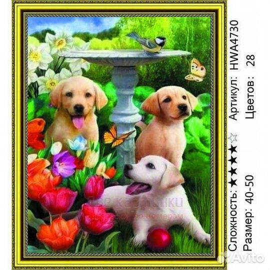 Алмазная мозаика 40x50 Довольные щенки в саду сред
