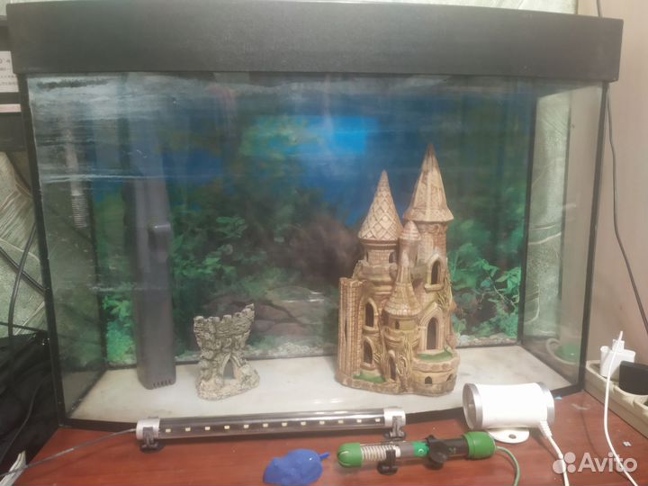 Аквариум