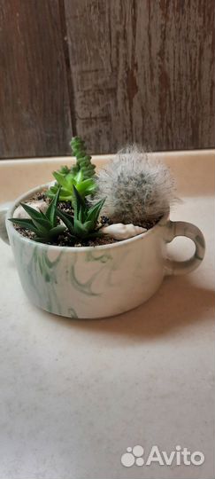 Цветочная композиция новогодняя