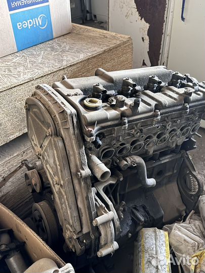 Мотор с навесным starex Hyundai