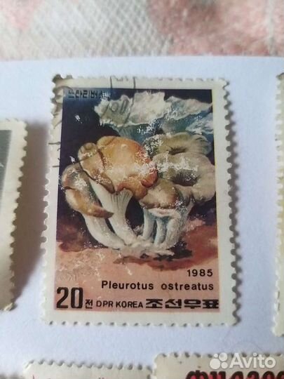 Почтовые марки