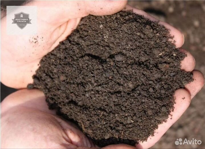 Земля плодородная