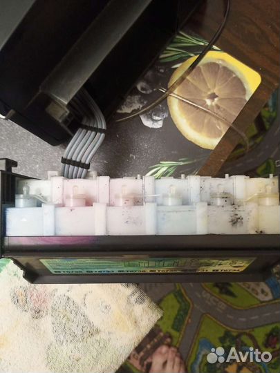 Принтер epson l800