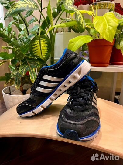 Кроссовки adidas 39 climacool cc ride
