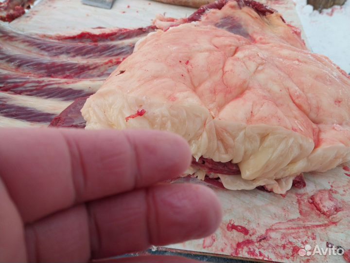 Мясо говядина баранина