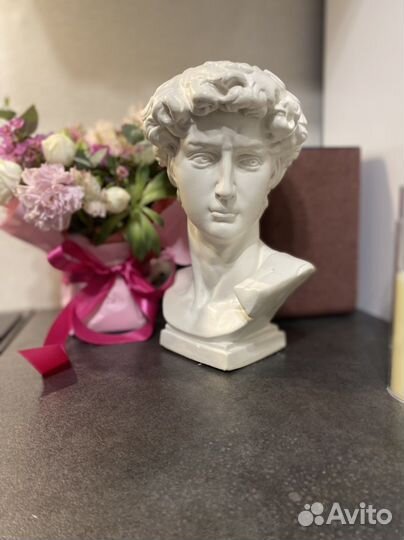 Бюст Давида без обработки