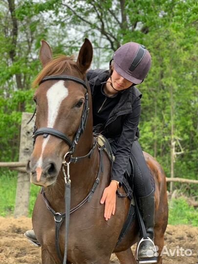 Прокат/фотосессия/походы на лошадях