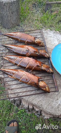 Коптилка горячего и холодного копчения