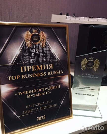 Скрипач на мероприятие