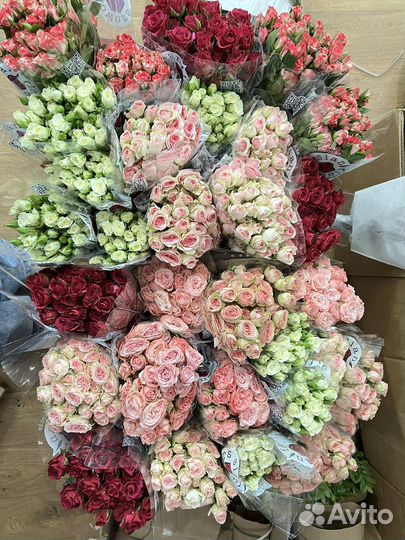 Цветы, розы, хризантемы, букет, оптом