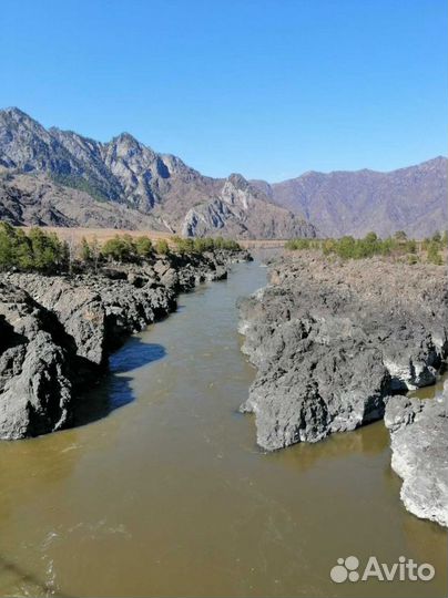 Турпутевка на Алтай лето экскурсия 6-8 дн