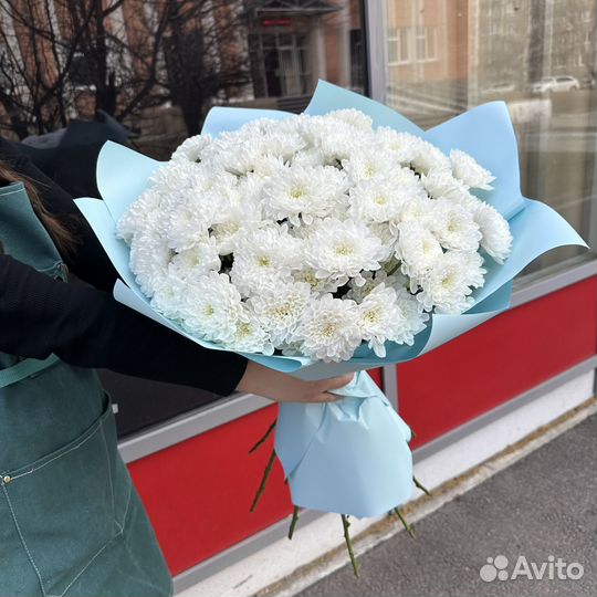 Букет из 15 кустовых хризантем с оформлением