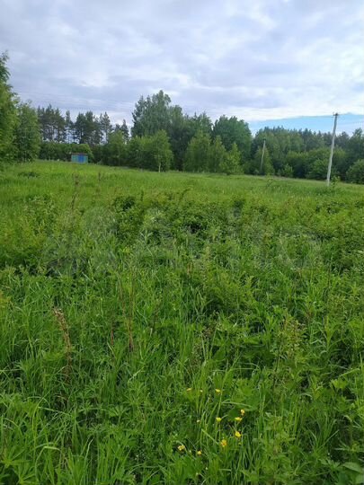 Участок 28 сот. (ИЖС)