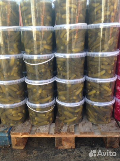 Соленья Квашения Корейские салаты