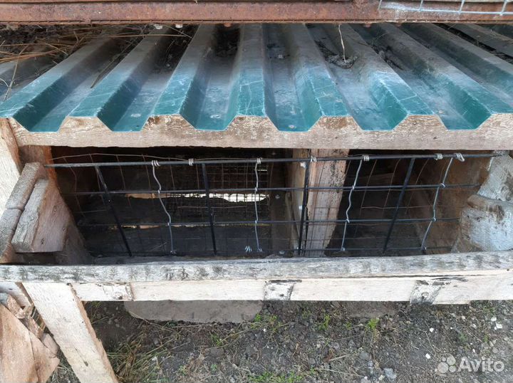 Крольчатник с родильней