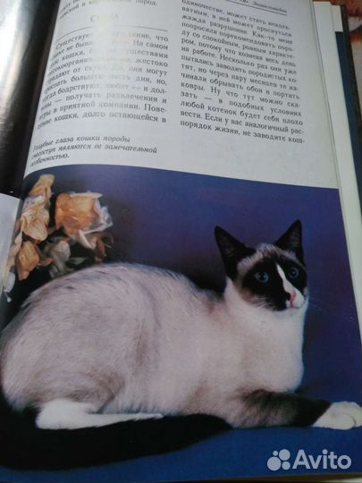 Кошки. Энциклопедия от А до Я