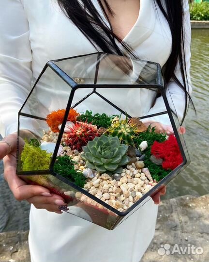Флорариум. Подарок. Цветы. Суккуленты. Букет