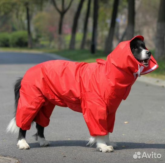 Дождевик для собаки