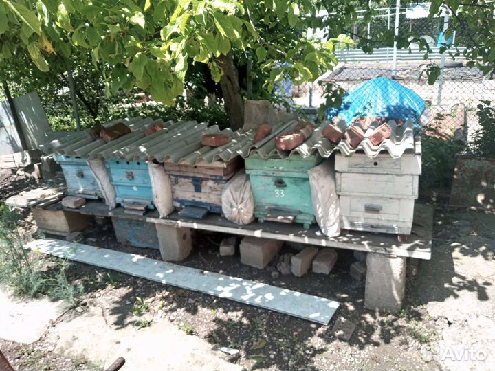 Ульи для пчел, дадан с рамками