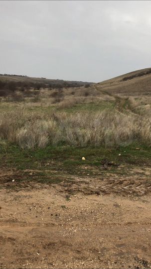 Участок 5 га (СНТ, ДНП)