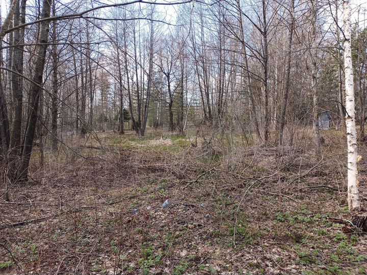 Снт ягодное богородский. СНТ Ягодное сухое. СНТ Ягодное Богородского р-на. Деревня Ягодное Нижегородская область.