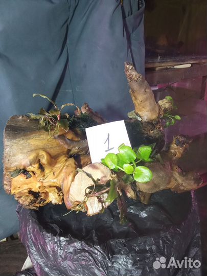 Коряги для аквариума