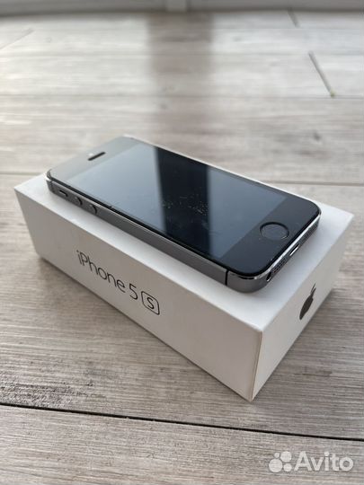 iPhone 5 s