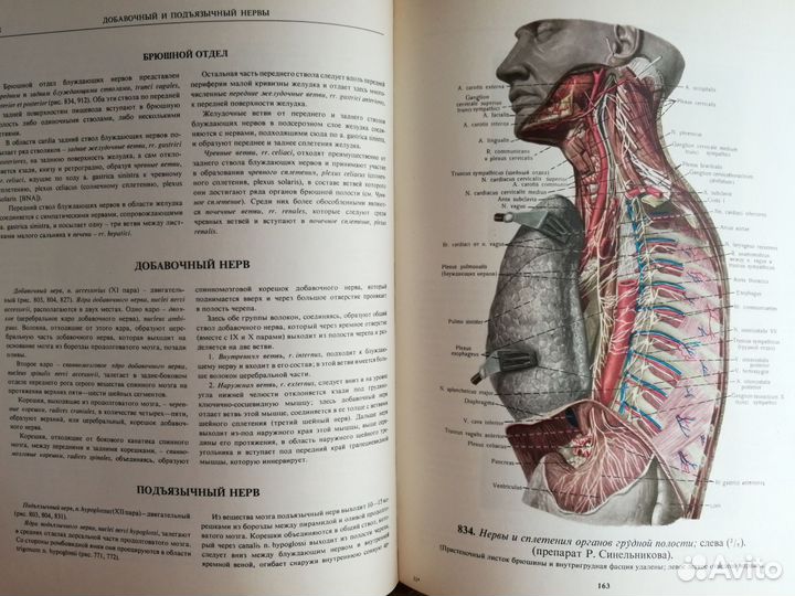 Атлас анатомии человека синельников 1974
