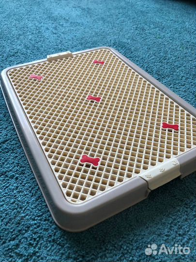 Туалет лоток с сеткой для собак малый 50х38х3,5