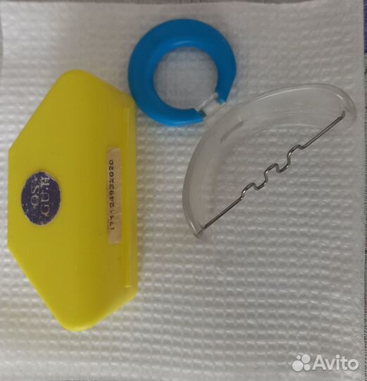 Вестибулярная пластинка