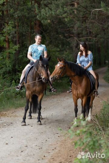 Конные прогулки фотосессии обучение верховой езде