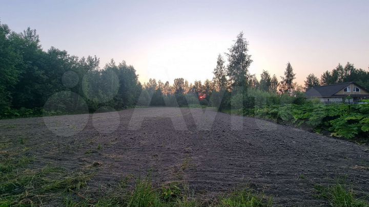 Участок 20 сот. (СНТ, ДНП)