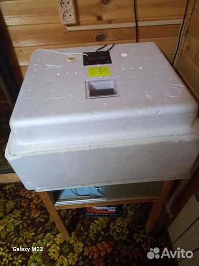 Инкубатор для яиц автоматический бу