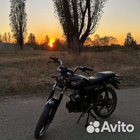 Альфа Рейсер 110сс