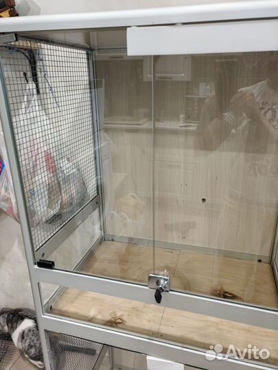 Витрина для шиншилл бу и для попугаев