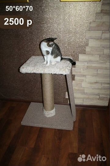 Когтеточки Пушкин