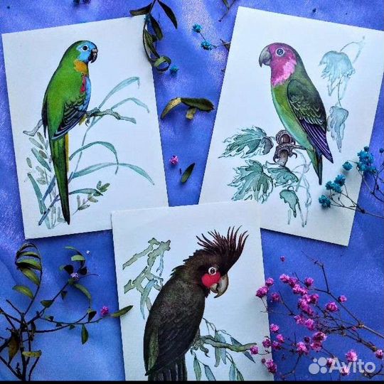 Набор открыток 