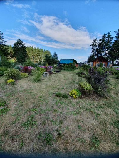 Дом 38 м² на участке 28 сот.