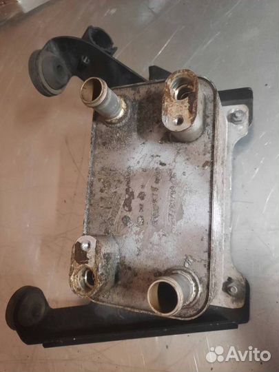 Радиатор масляный Volkswagen Passat B6 2006