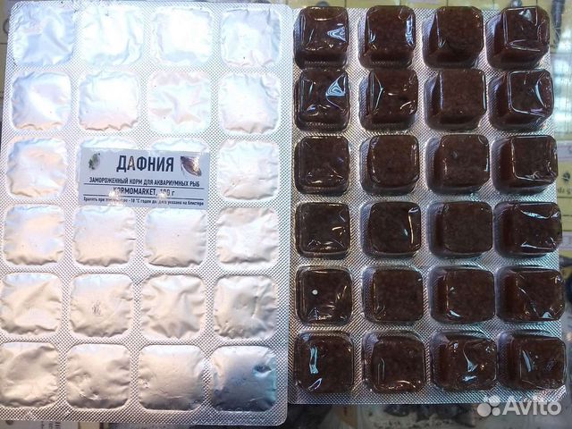 Мотыль, артемия, циклоп, дафния, коретра